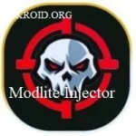 Modlite Injector